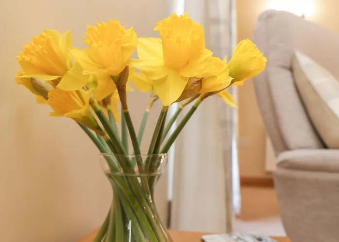 The Piggery Holiday home